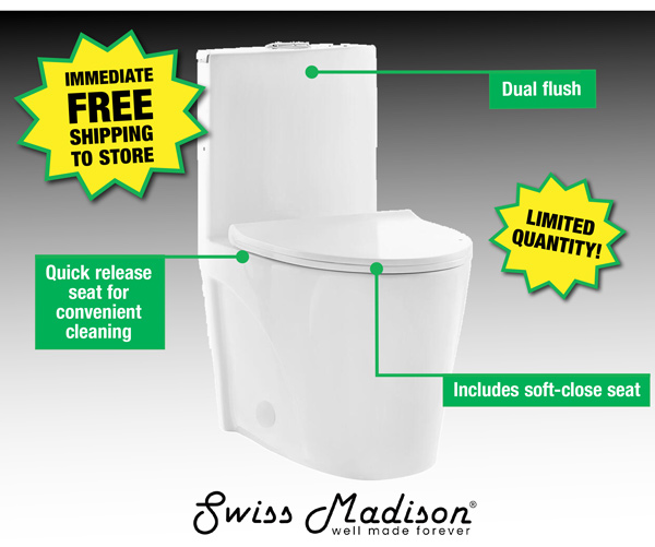 Swiss Madison 1Piece Toilet ONLY 139! Menards