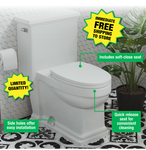 Swiss Madison 1Piece Toilet ONLY 139! Menards