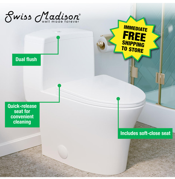 Swiss Madison Toilet UNDER 100! Menards