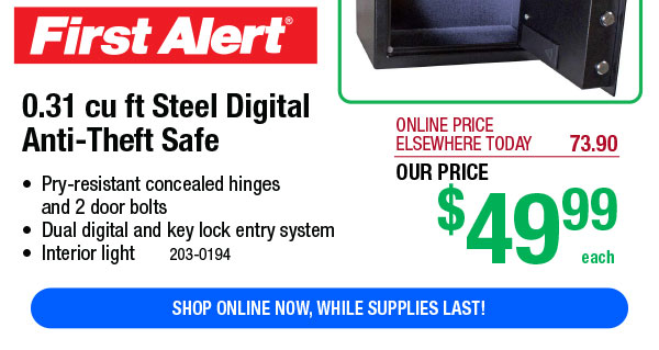 0.31 cu ft Steel Digital Anti-Theft Safe