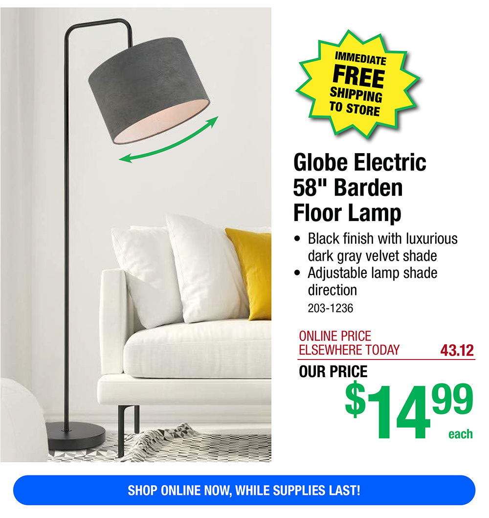 Globe Electric 58" Barden Floor Lamp