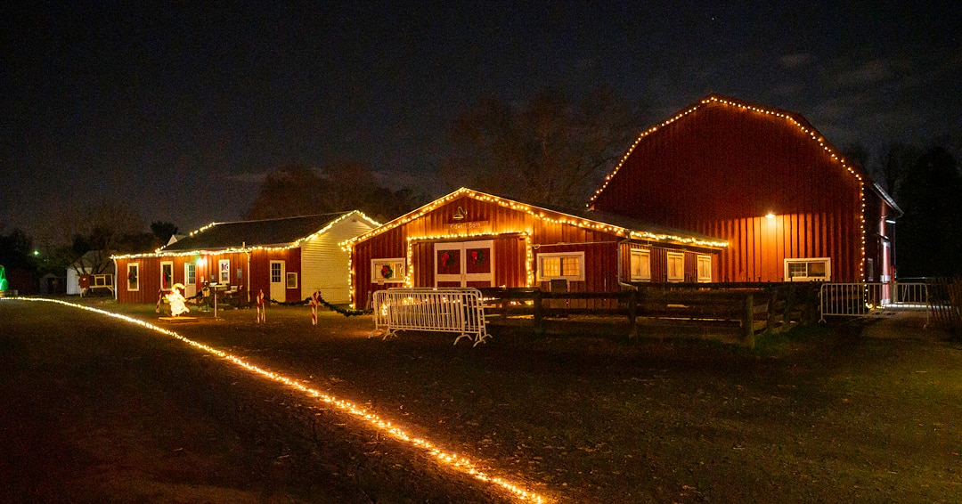 Photo of Christmas lights at Frying Pan Park