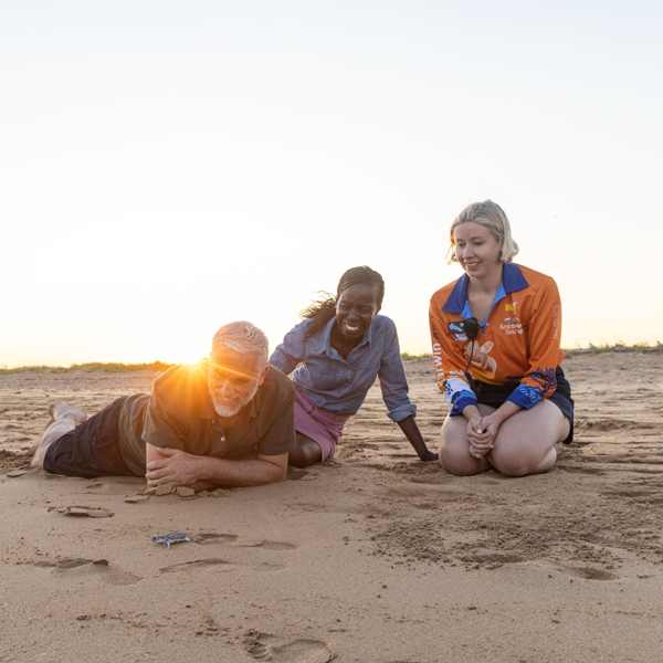Turtle Tracks Tour in the NT 