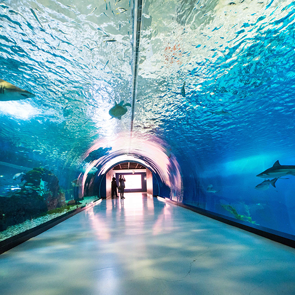 Hanwha Aqua Planet Jeju