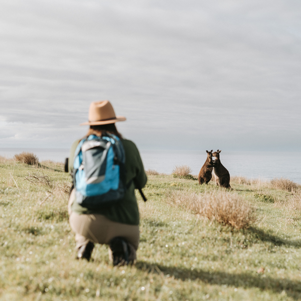 Enjoy an exclusive Aussie wildlife safari 
