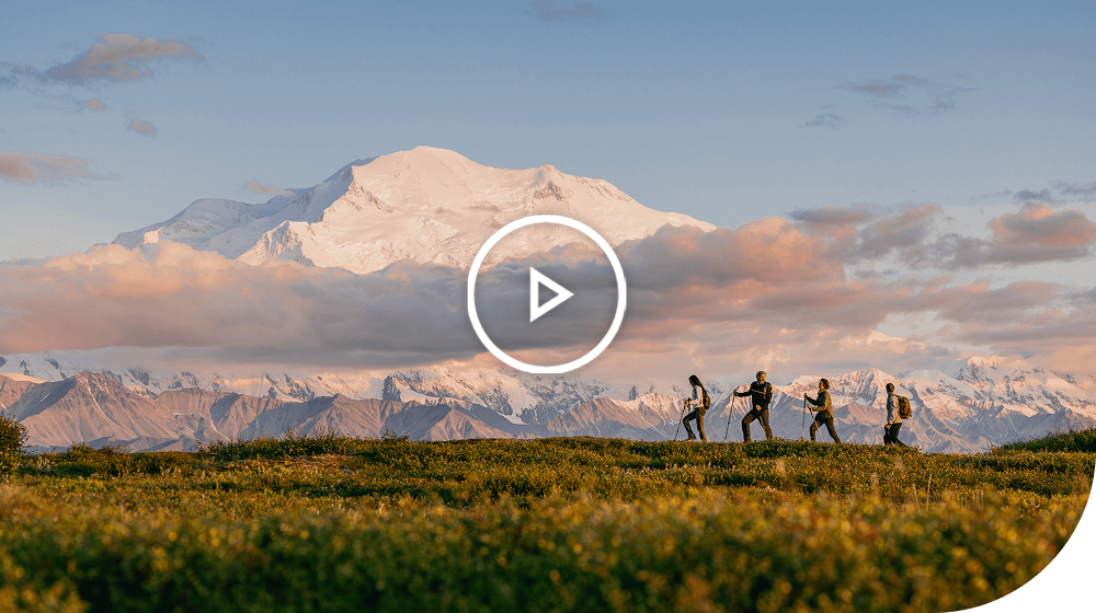 Denali National Park, Alaska. Pleay video.