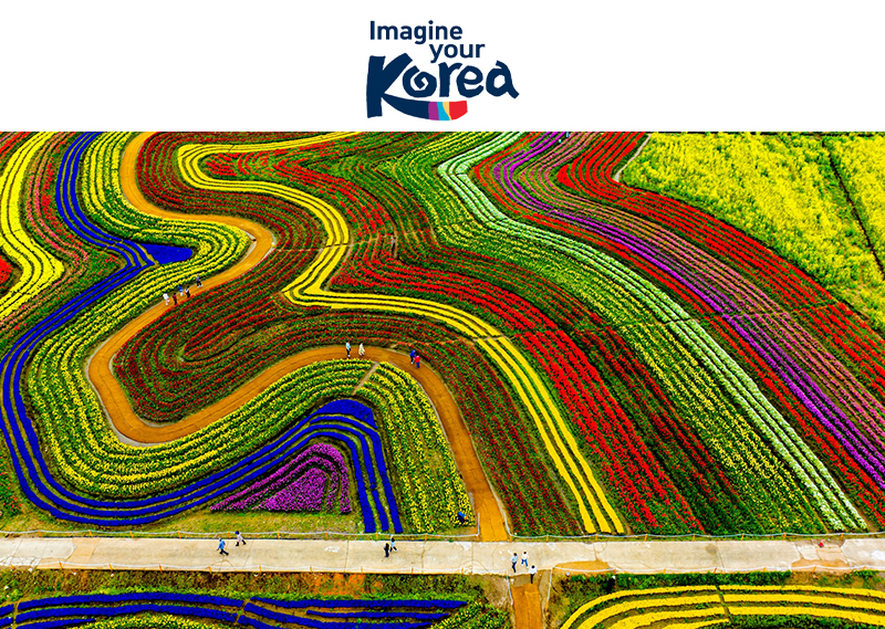 Spring in Suncheon