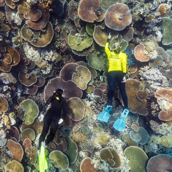 Leave your mark on the Great Barrier Reef 