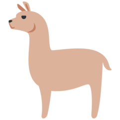 llama