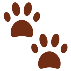 paw-prints